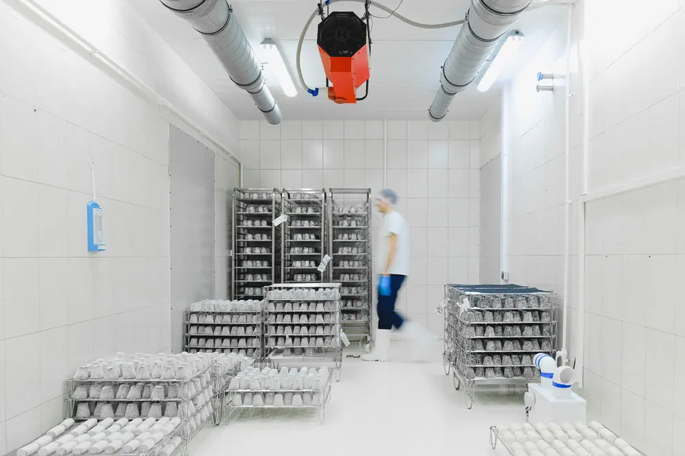 Cold storage room with chilled goods on racks